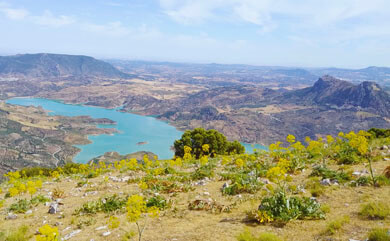 Cerro Coros hike