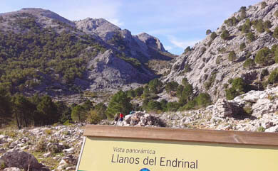 Llanos del endrinal Grazalema