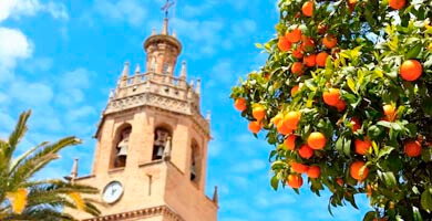 city tour in Ronda